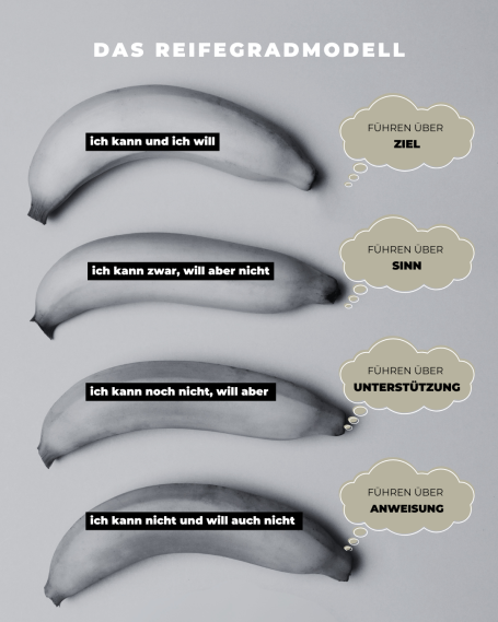 Das Reifegradmodell aus der Führungslehre - dargestellt mit Hilfe von Bananen